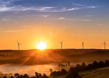 sunrise, wind farm, wind park-3579931.jpg